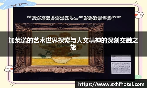 完美体育官网