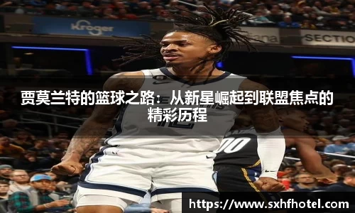 完美体育登录入口